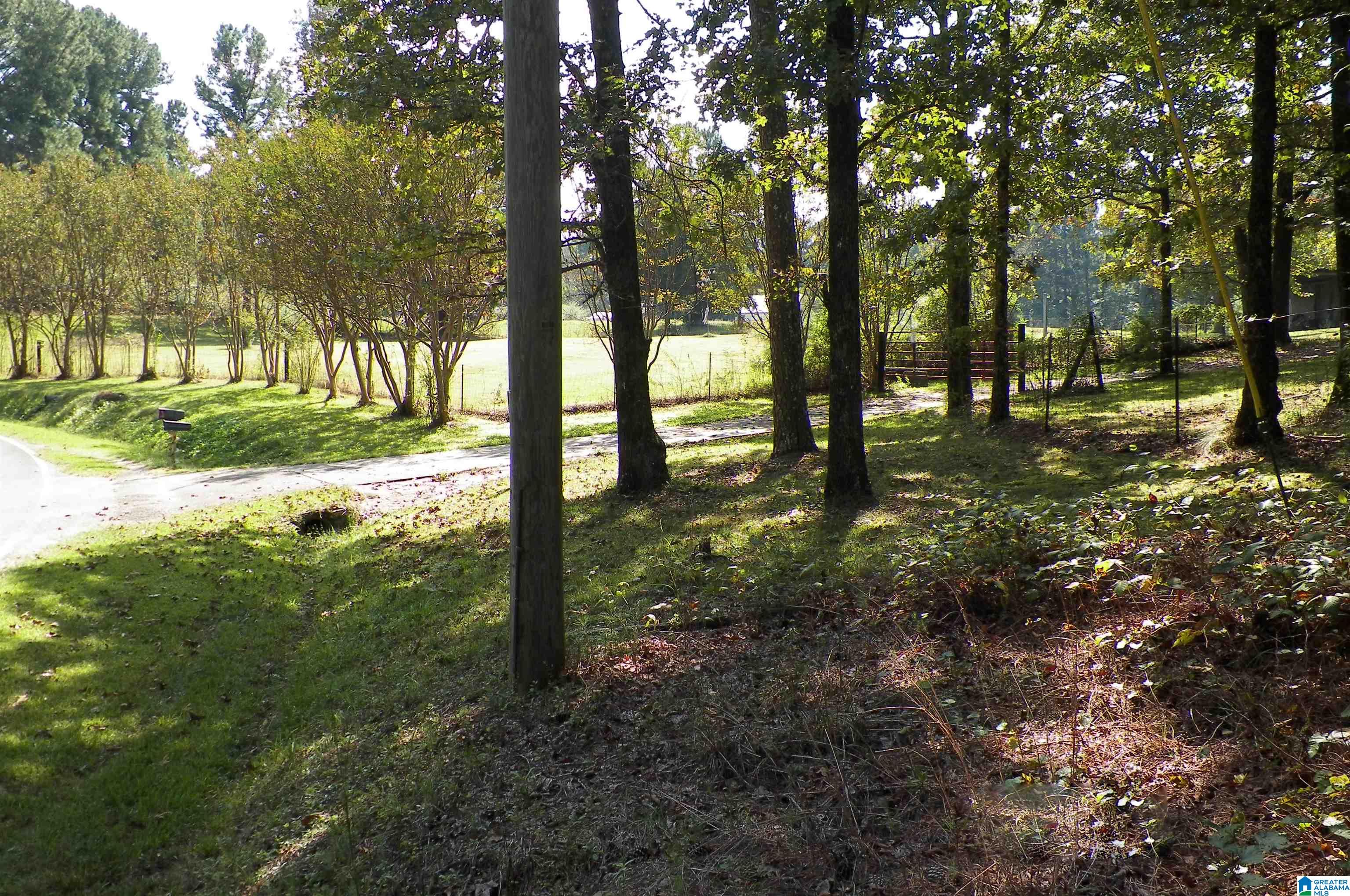 9138 Thermal Road, Unit 8 Warrior, AL 35180 - Photo 4 of 26