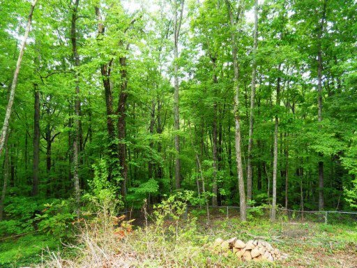 139 North Seneca Road Oak Ridge, TN 37830 - Photo 23 of 25 Additional Photo