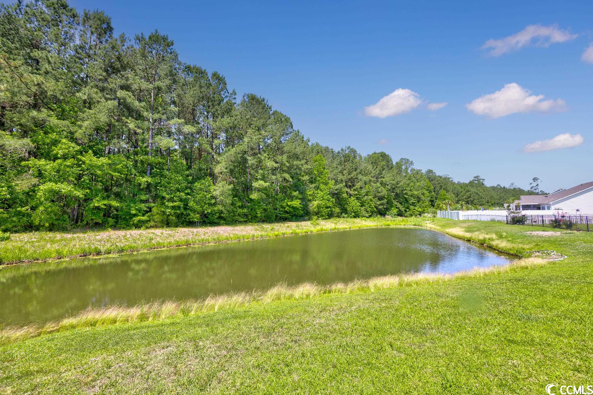504 Majorca Loop Myrtle Beach, SC 29579 - Photo 26 of 40