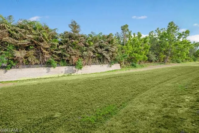 a view of yard with green space
