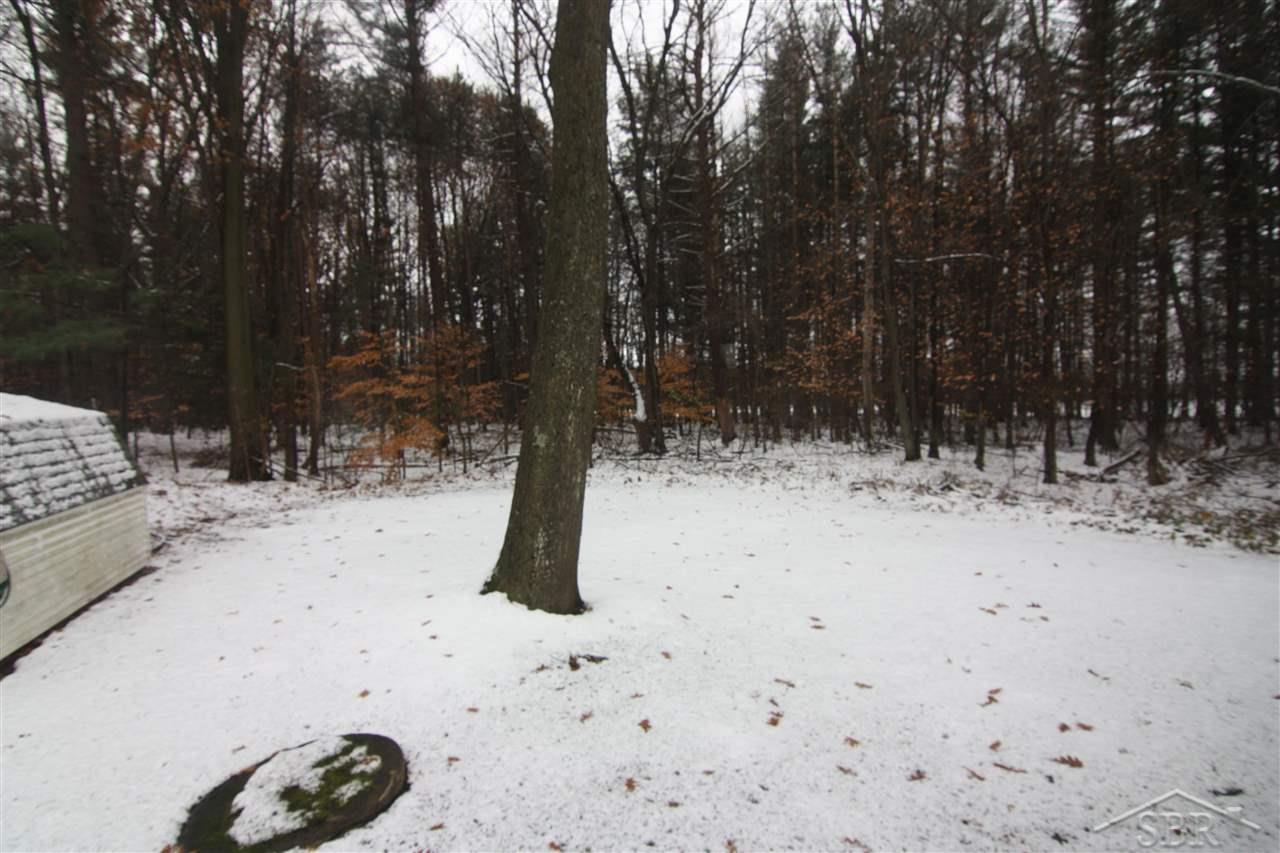16097 Dice Road Hemlock, MI 48626 - Photo 24 of 24 50061797-24.JPG