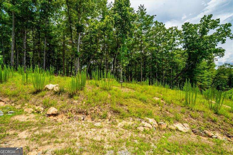 0 Ridge Drive, Unit LOT #64 Morganton, GA 30560 - Photo 2 of 15 a view of a lake with a big yard