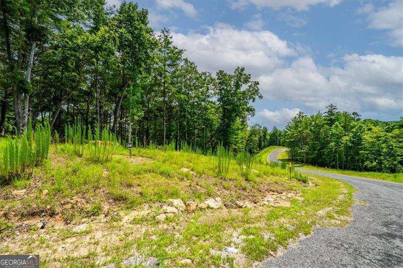 0 Ridge Drive, Unit LOT #64 Morganton, GA 30560 - Photo 3 of 15 a view of a garden with a lake