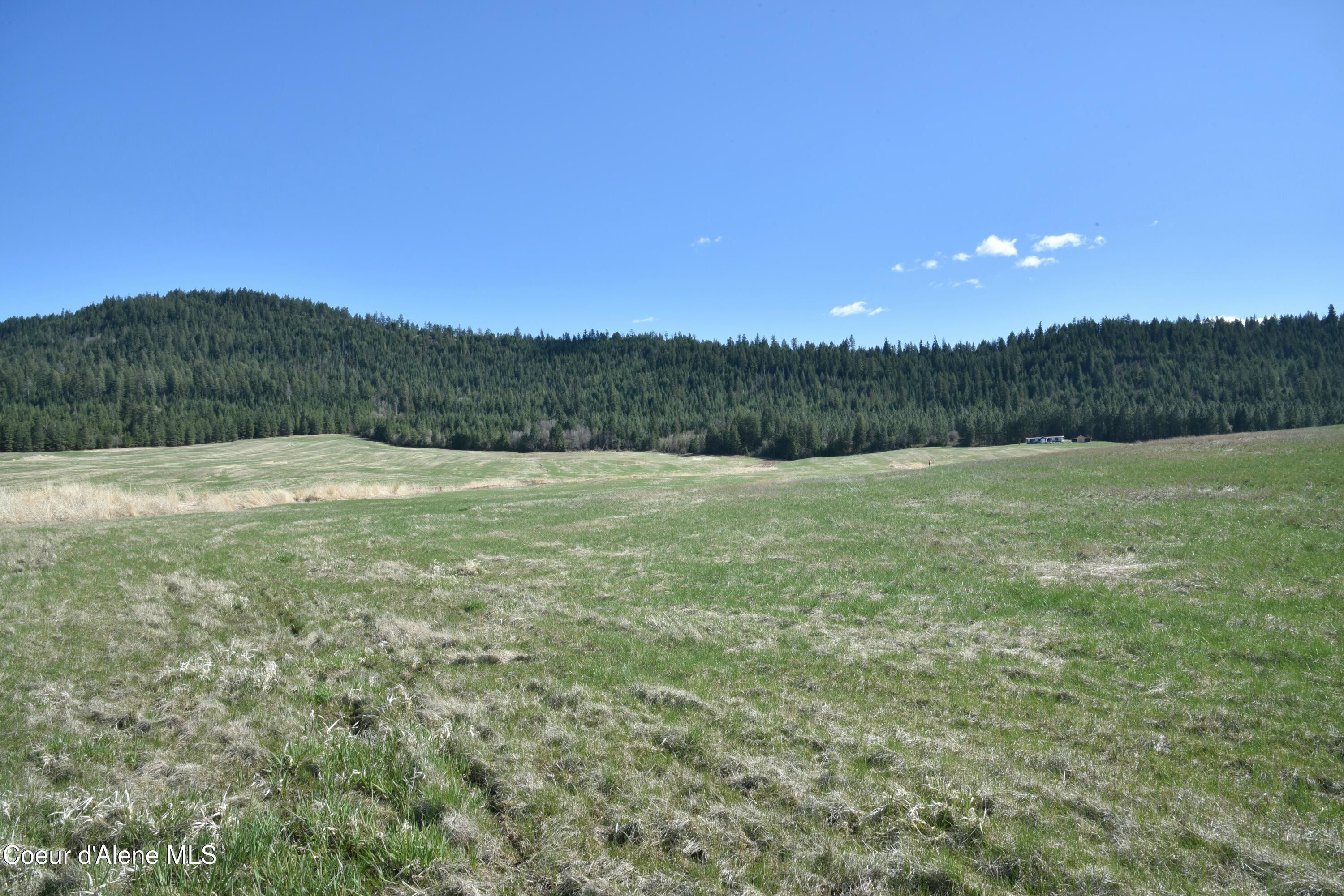 Lot 1 Mundt Road Plummer, ID 83851 - Photo 5 of 9 tempImagewr5HZG