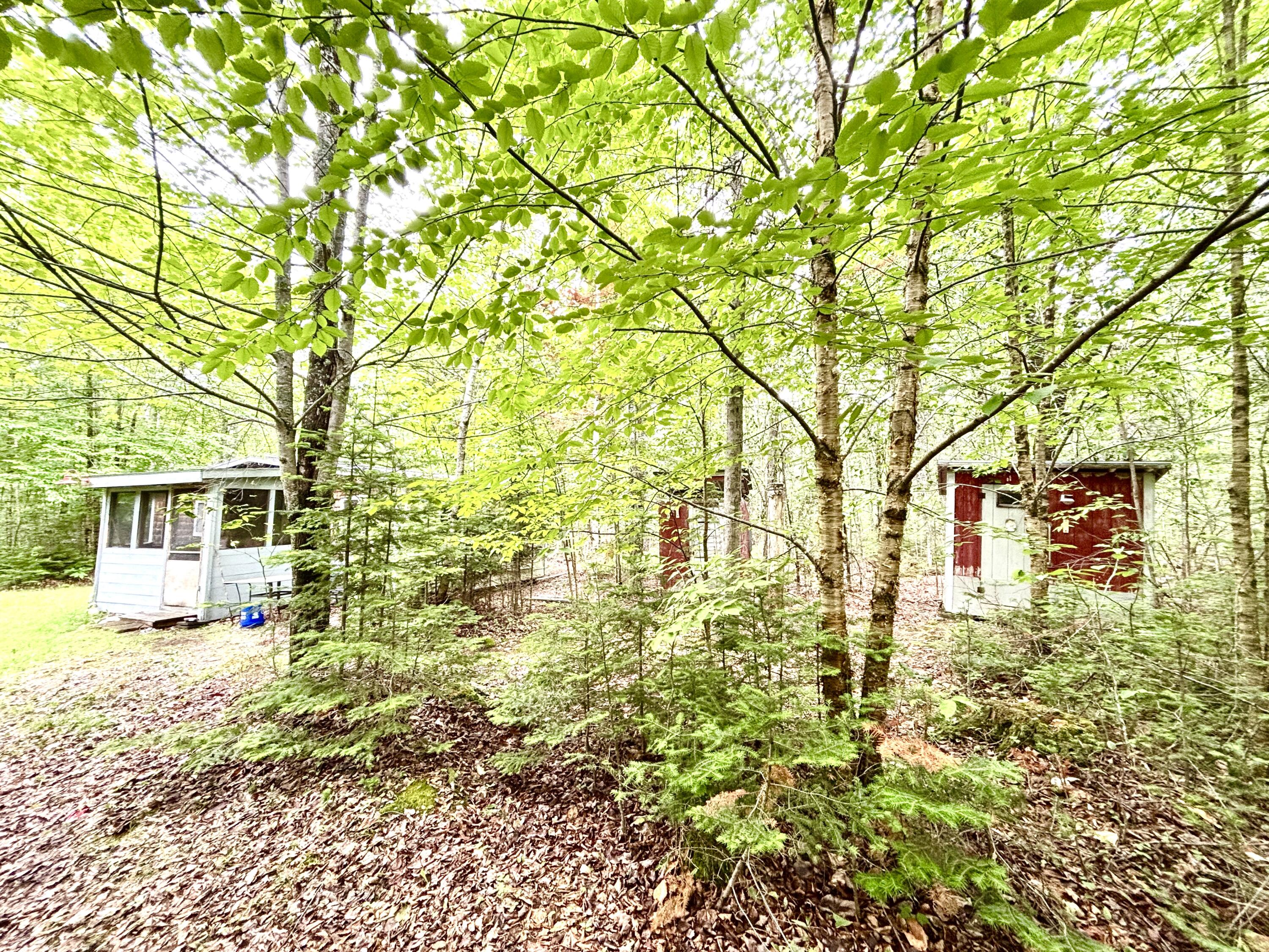 699 Charleston Road Dexter, ME 04930 - Photo 10 of 33 IMG_9549