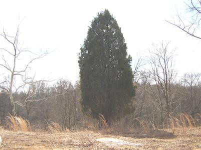 0 Kelly Road, Unit B Burlington, KY 41005 - Photo 7 of 7 Gallery Image 7