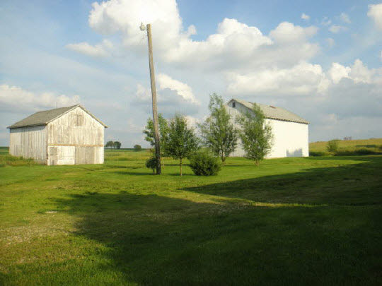 4007 East Lamm Road Freeport, IL 61032 - Photo 6 of 11 a view of a big yard with a fountain