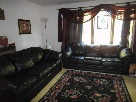 4007 East Lamm Road Freeport, IL 61032 - Photo 8 of 11 a living room with furniture and a rug