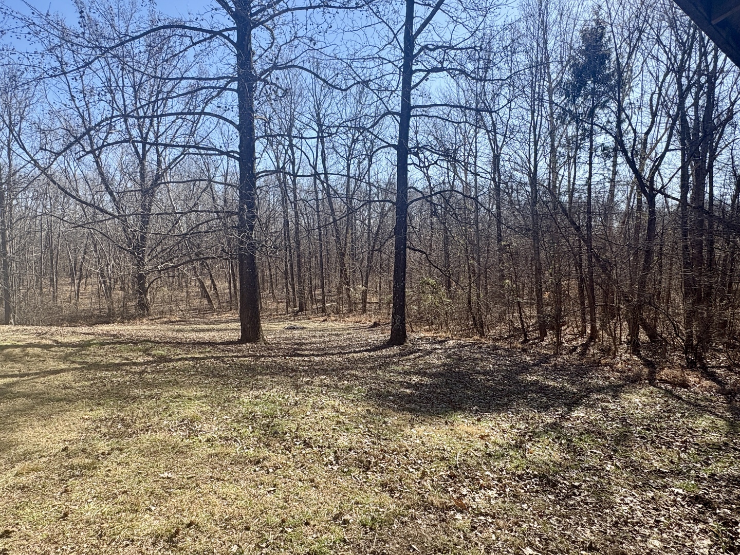 69-94 High Ridge Road Carbondale, IL 62902 - Photo 21 of 26 Gallery Image 21