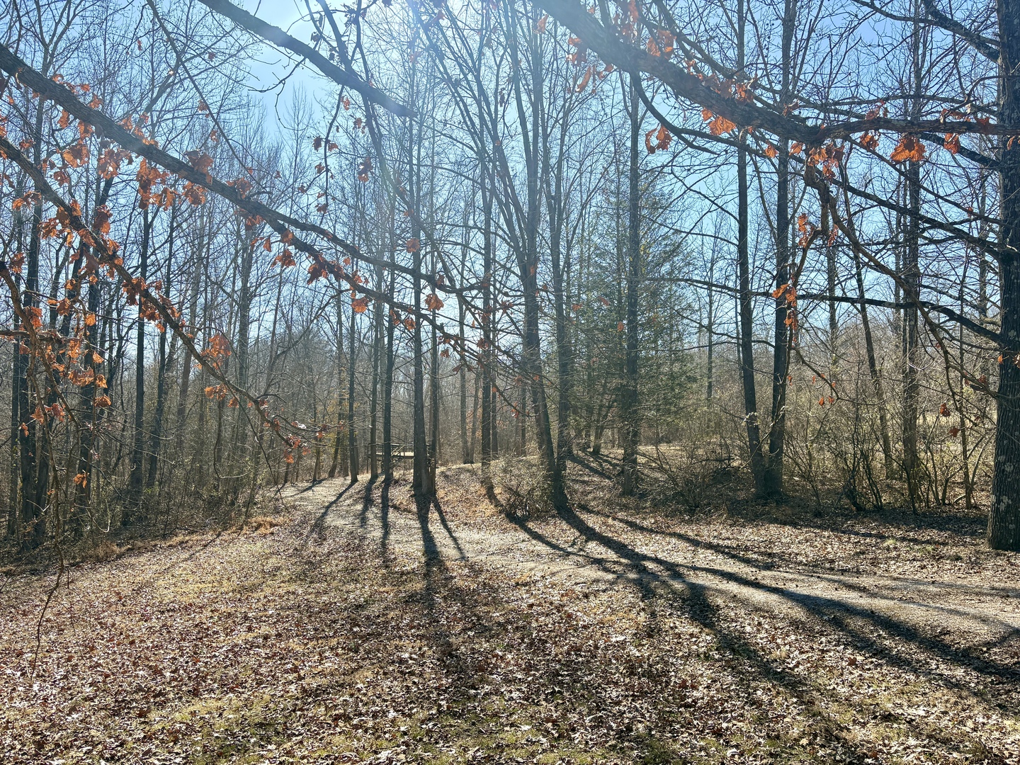 69-94 High Ridge Road Carbondale, IL 62902 - Photo 25 of 26 Gallery Image 25