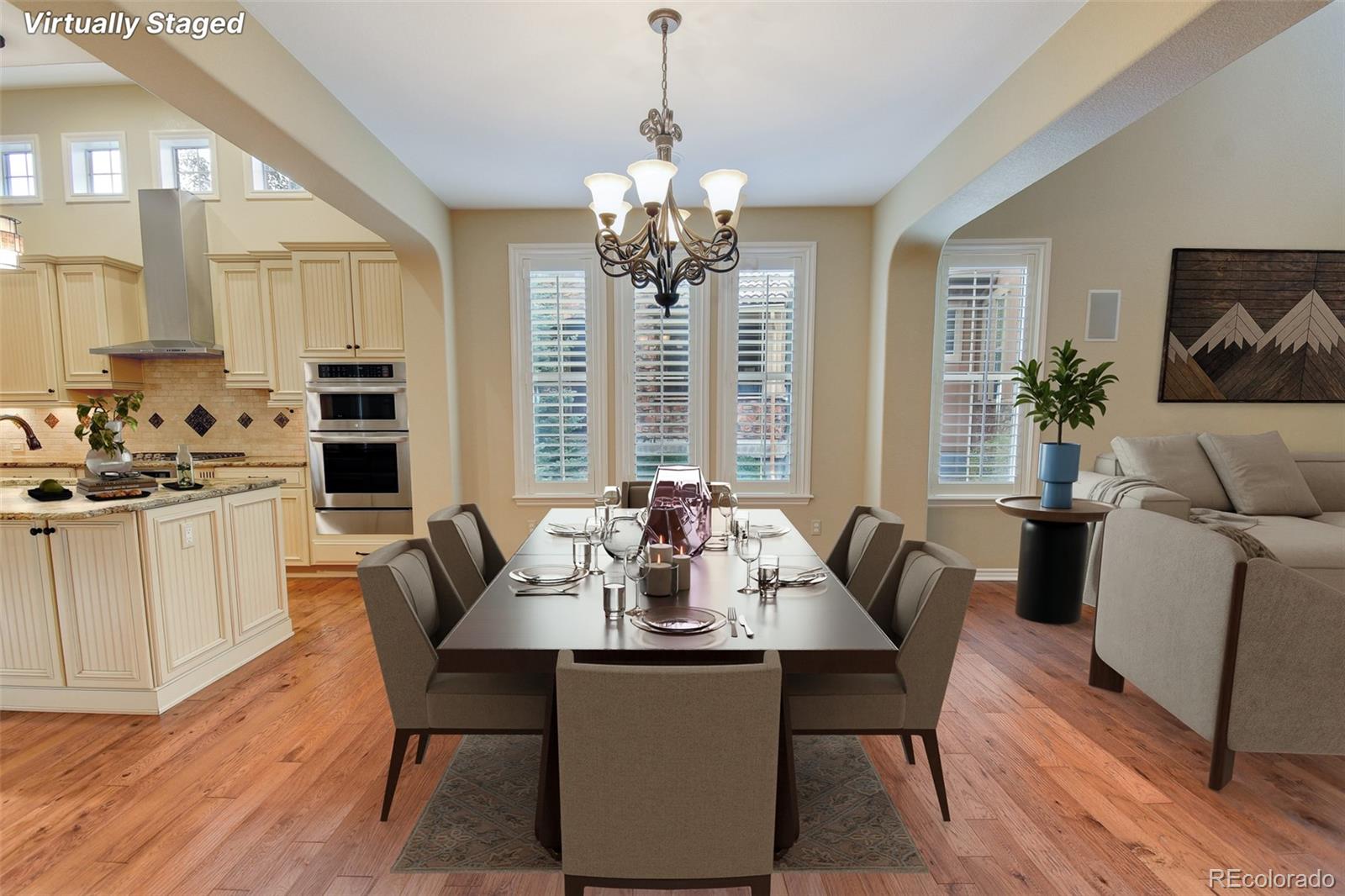 9339 Viaggio Way Highlands Ranch, CO 80126 - Photo 12 of 50