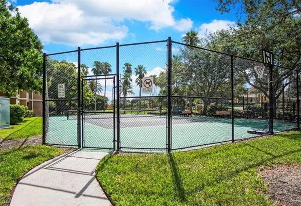 a view of a palm tree with flower plants