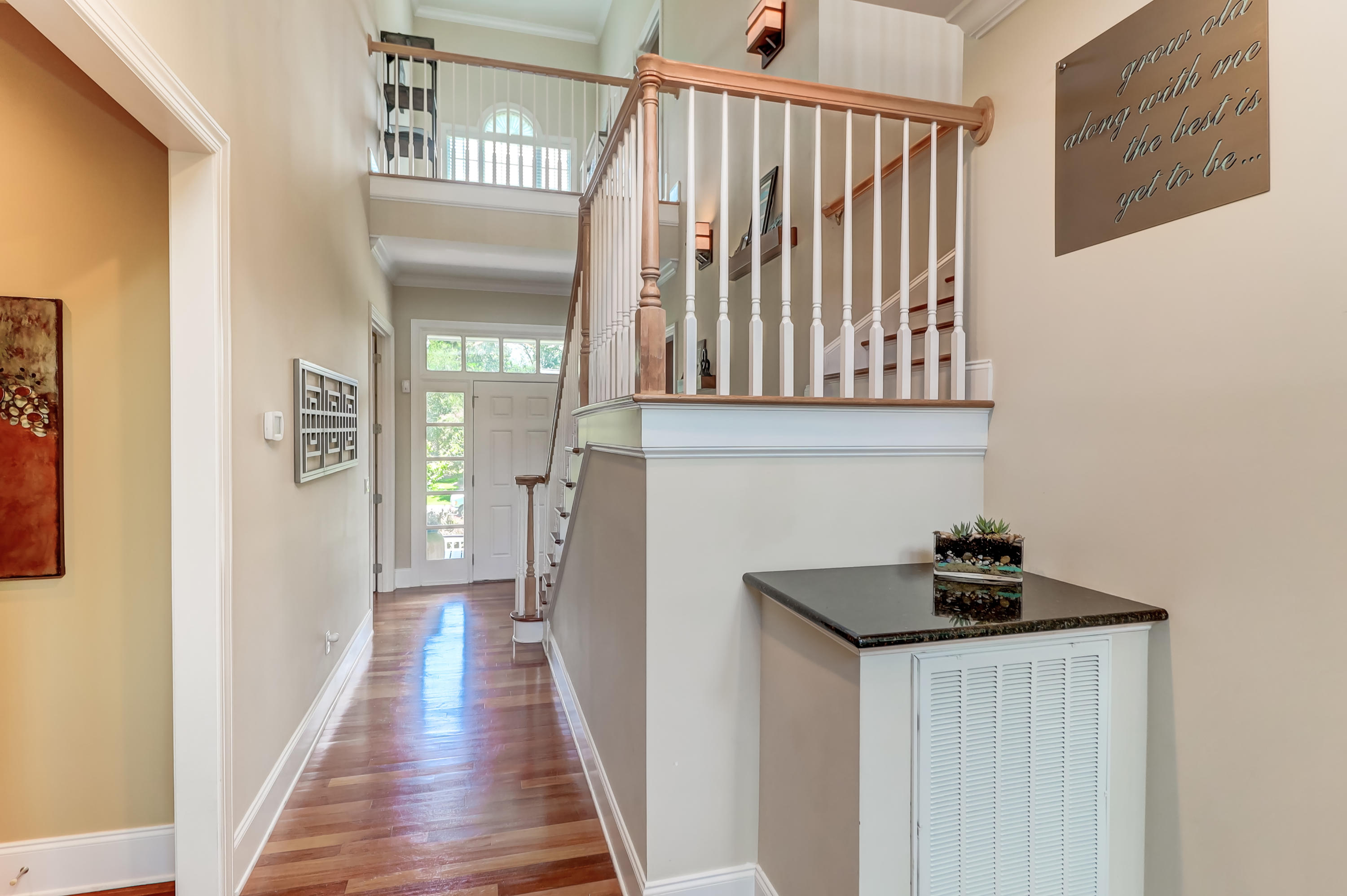 2096 Rookery Lane Charleston, SC 29414 - Photo 11 of 122 Looking back at Foyer