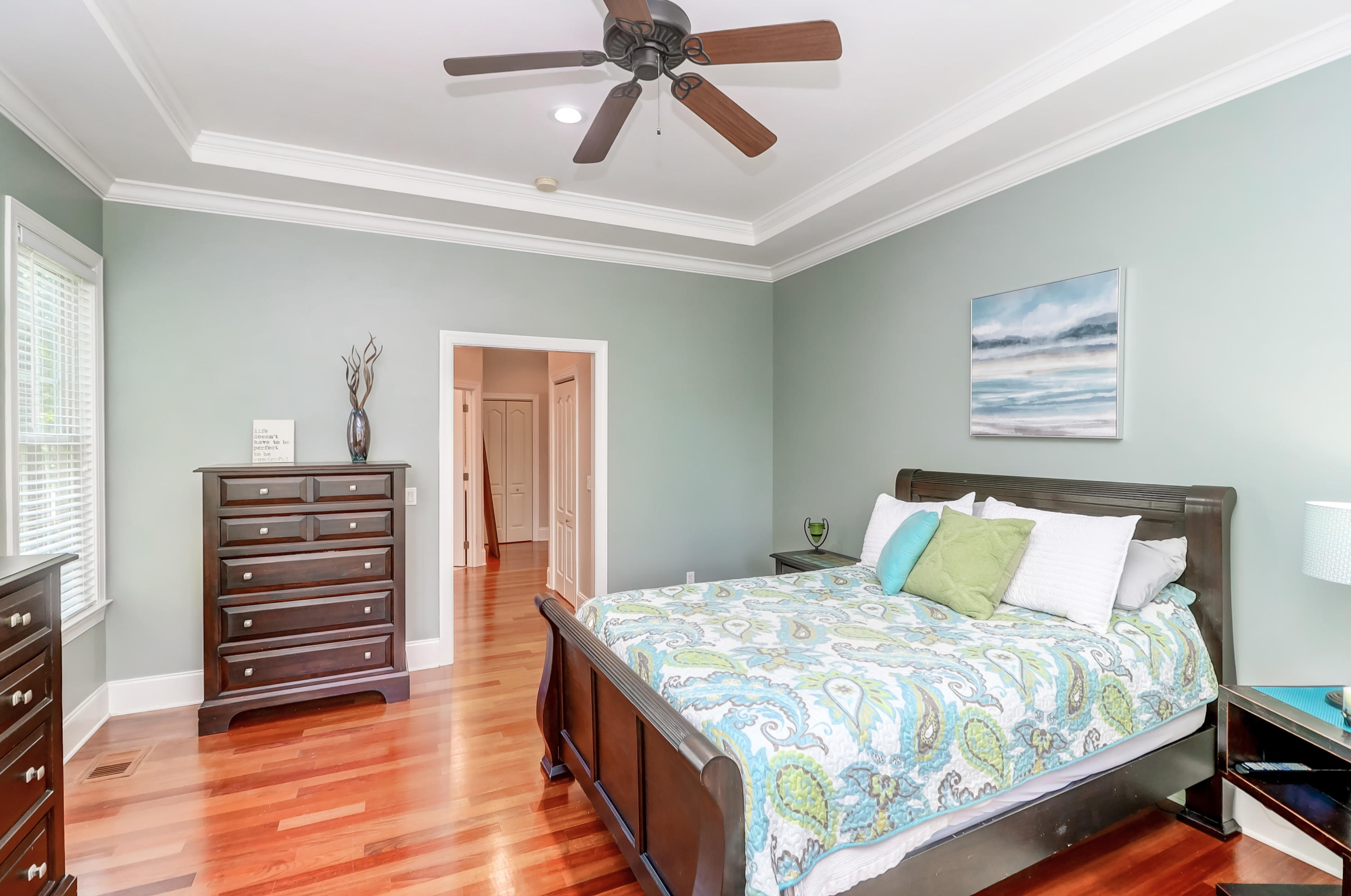 2096 Rookery Lane Charleston, SC 29414 - Photo 35 of 122 Tray Ceiling