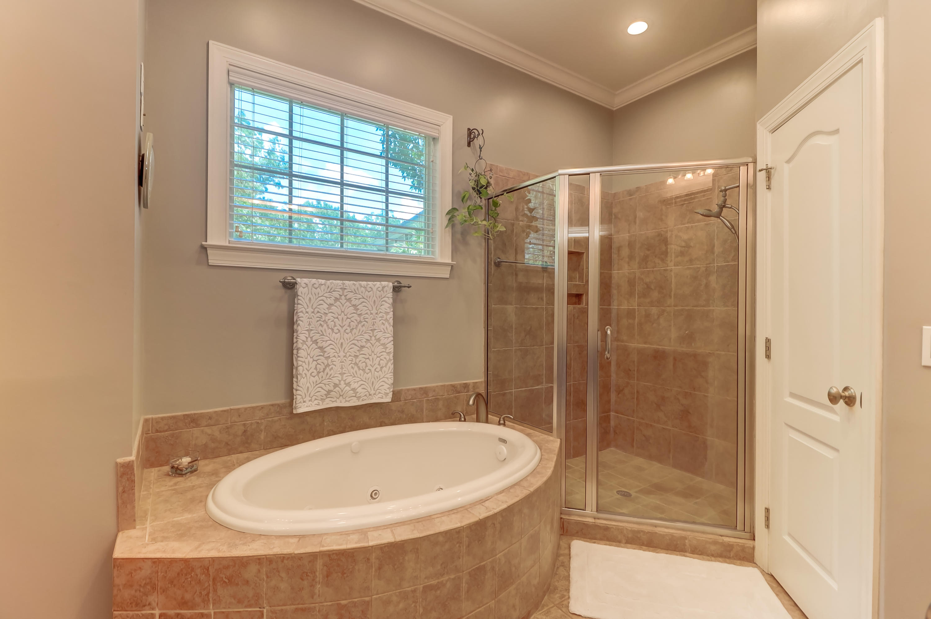 2096 Rookery Lane Charleston, SC 29414 - Photo 39 of 122 Jetted Tub and Walk in Shower