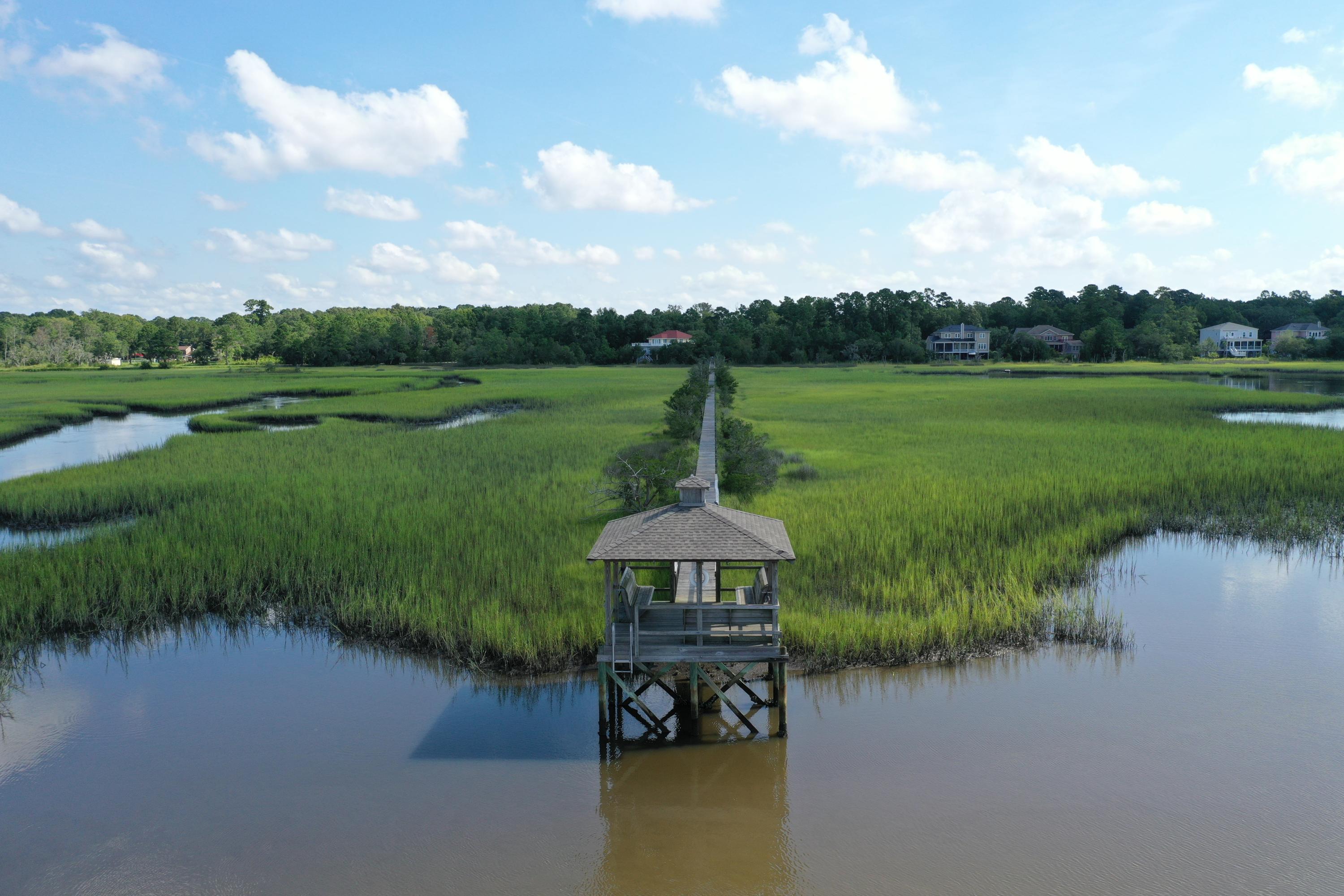 2096 Rookery Lane Charleston, SC 29414 - Photo 95 of 122 Community Dock