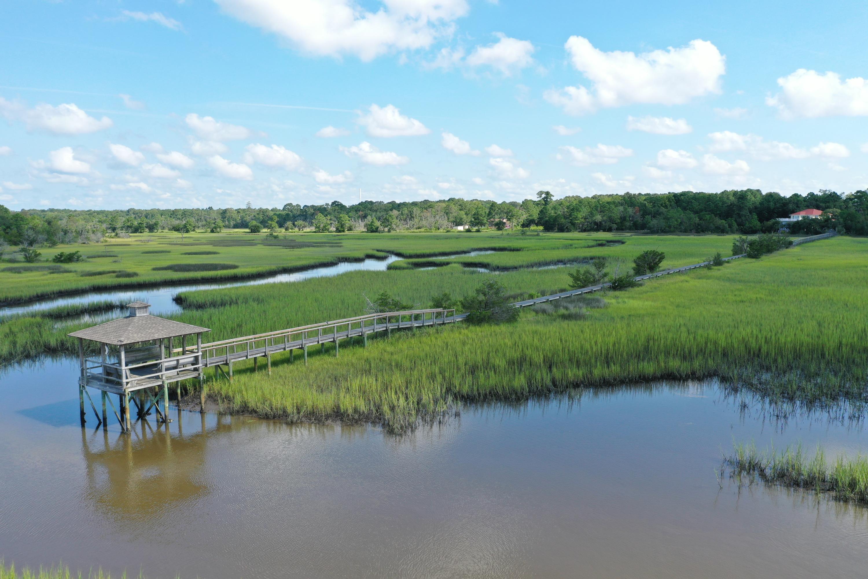 2096 Rookery Lane Charleston, SC 29414 - Photo 96 of 122 Community Dock