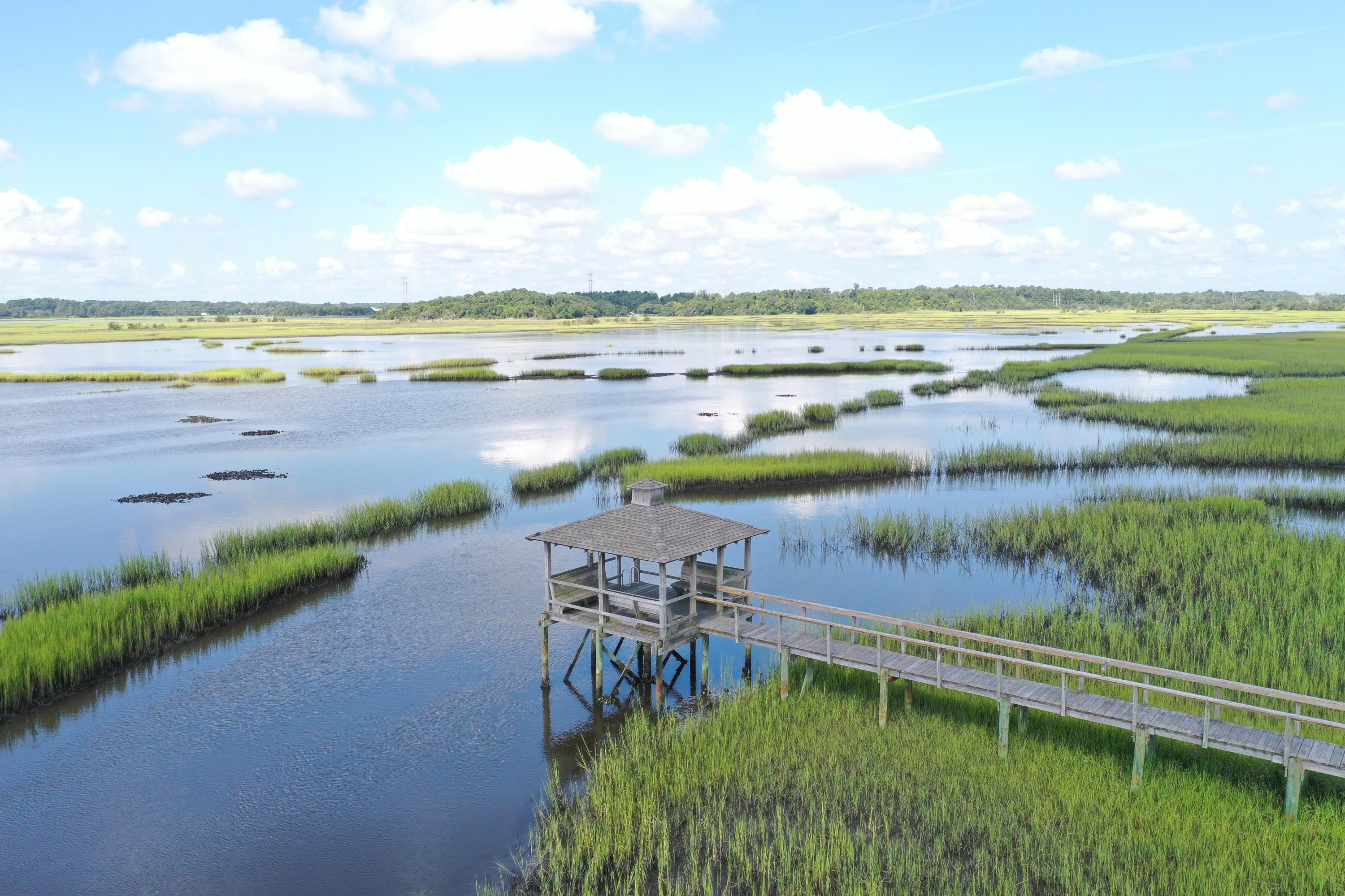 2096 Rookery Lane Charleston, SC 29414 - Photo 97 of 122 What a View