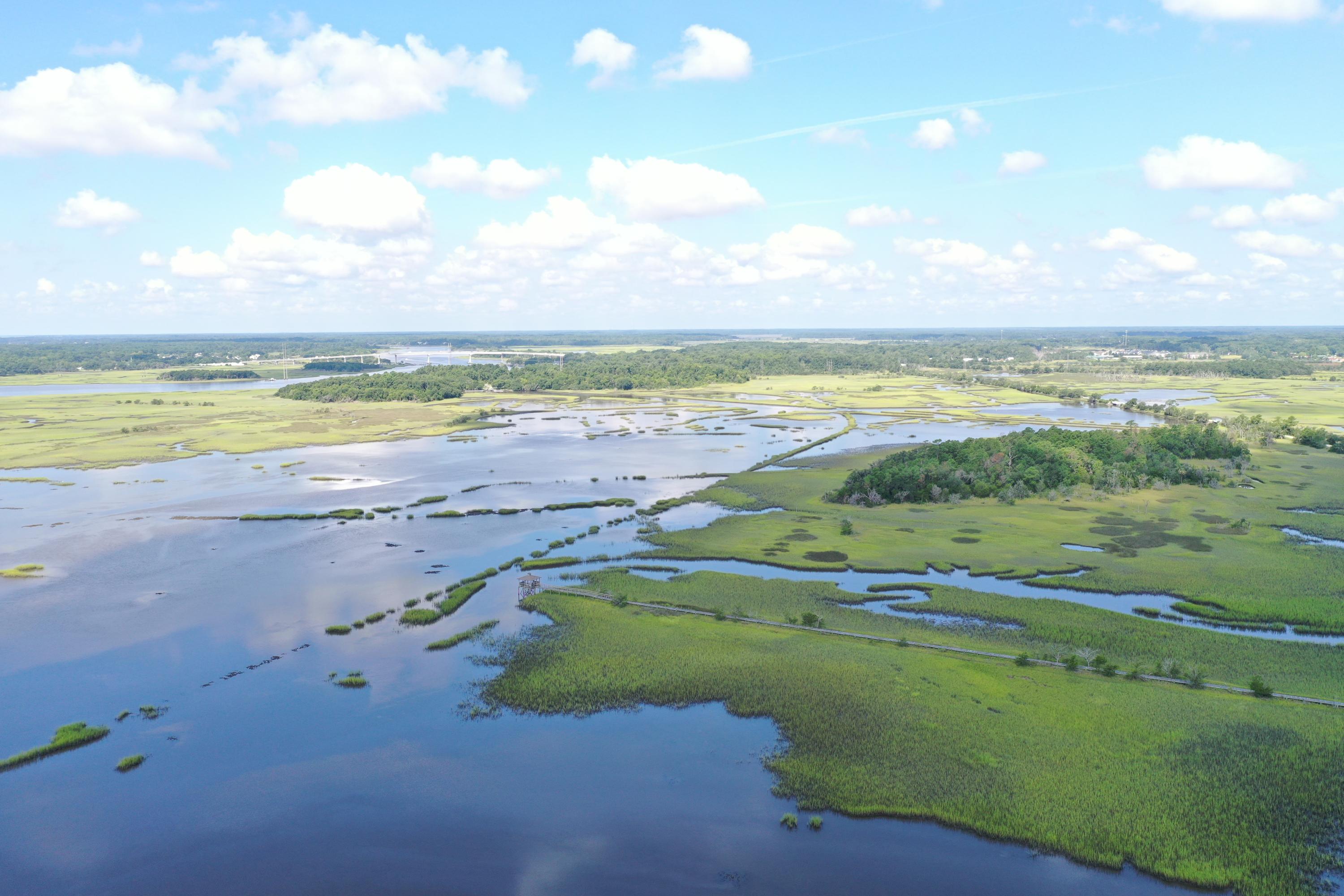 2096 Rookery Lane Charleston, SC 29414 - Photo 99 of 122 DJI_0716