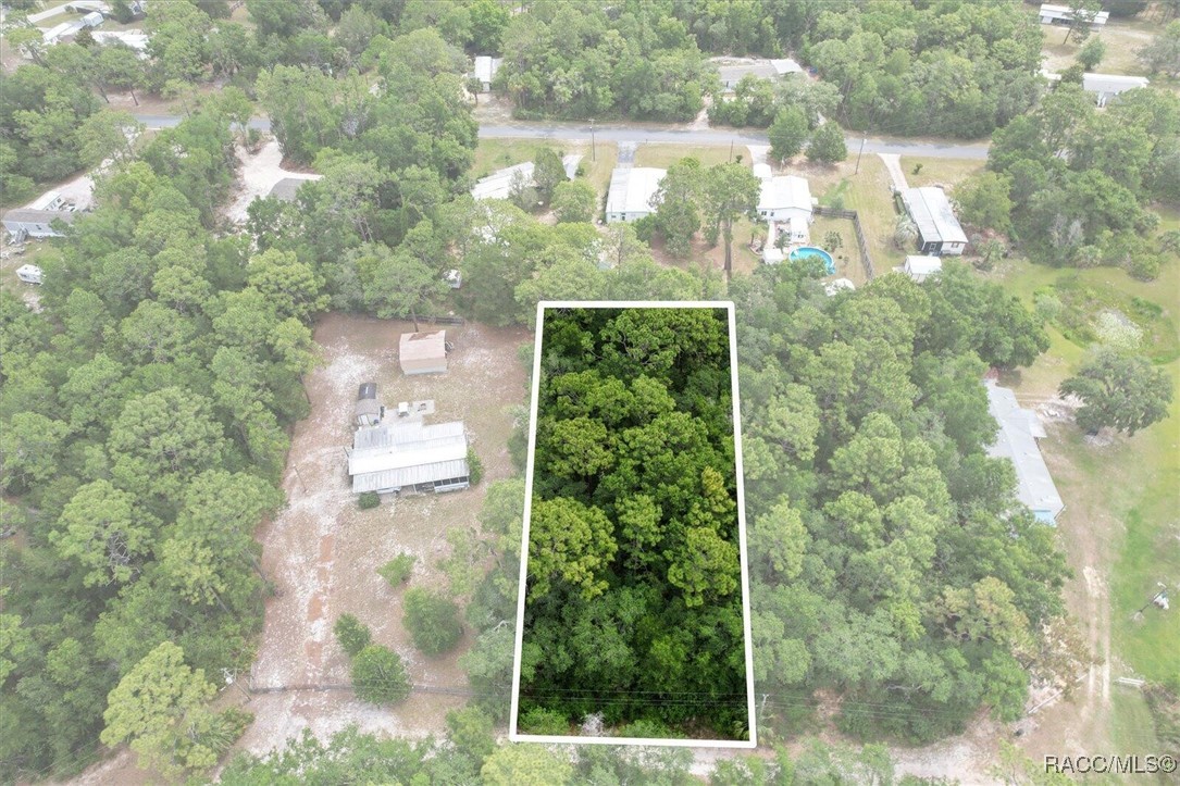 7261 West Stuart Lane Homosassa, FL 34448 - Photo 3 of 15