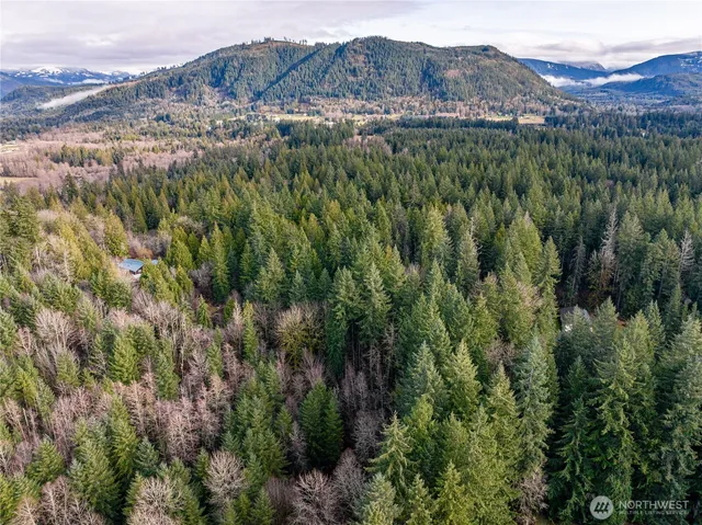 a view of a backyard of the house
