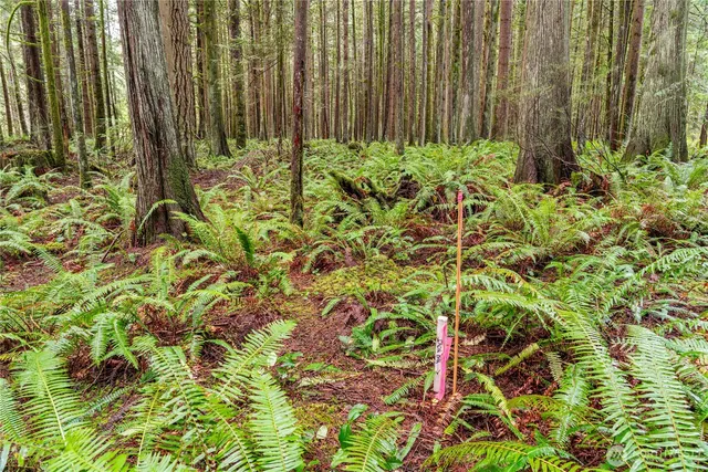 $299,950 | 12020 Huckleberry Lane, Arlington, WA 98223