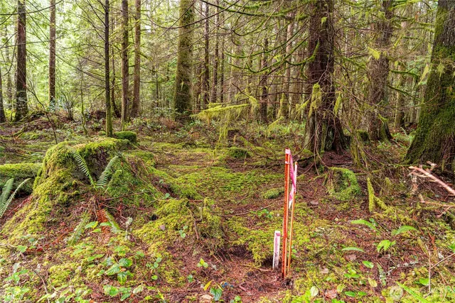 $299,950 | 12020 Huckleberry Lane, Arlington, WA 98223