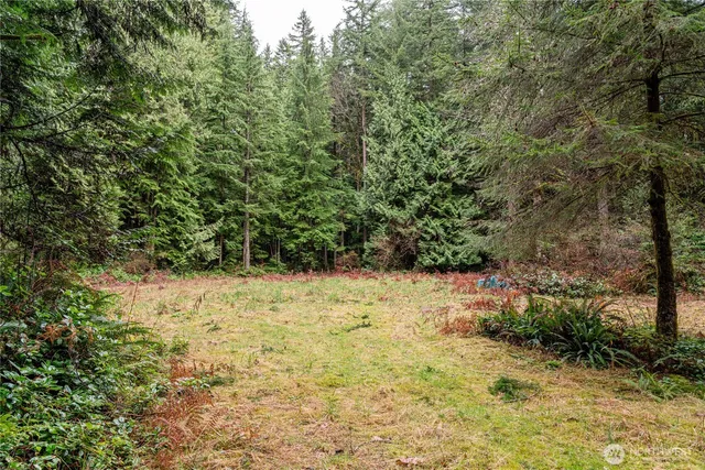 a view of a yard with trees