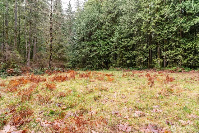 a view of a yard covered with snow