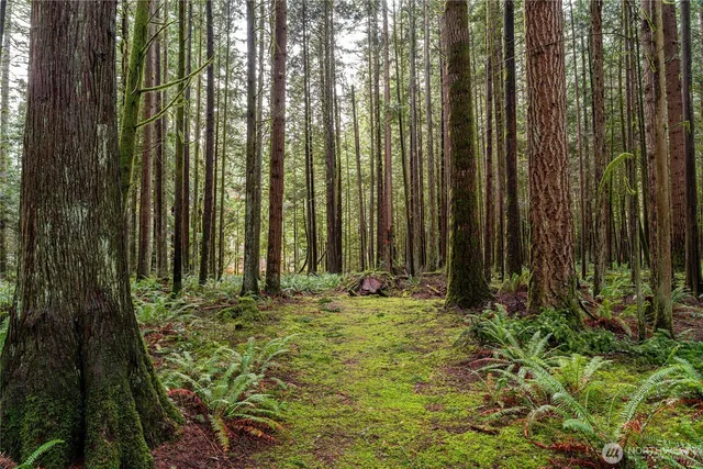 a view of a outdoor space
