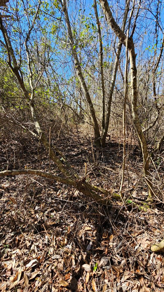 1964 County Line Road Dothan, AL 36305 - Photo 63 of 92