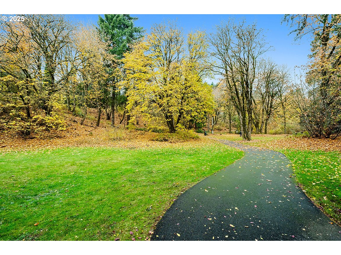 9 Britten Court Lake Oswego, OR 97035 - Photo 37 of 48 a view of yard with green space