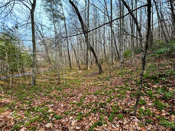 $37,400 | Lot 7 Azalea Way, Saluda, NC 28773