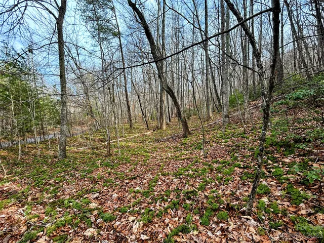 $37,400 | Lot 7 Azalea Way, Saluda, NC 28773