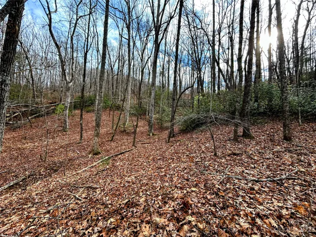 $37,400 | Lot 7 Azalea Way, Saluda, NC 28773