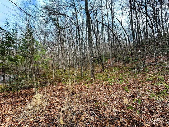 $37,400 | Lot 7 Azalea Way, Saluda, NC 28773