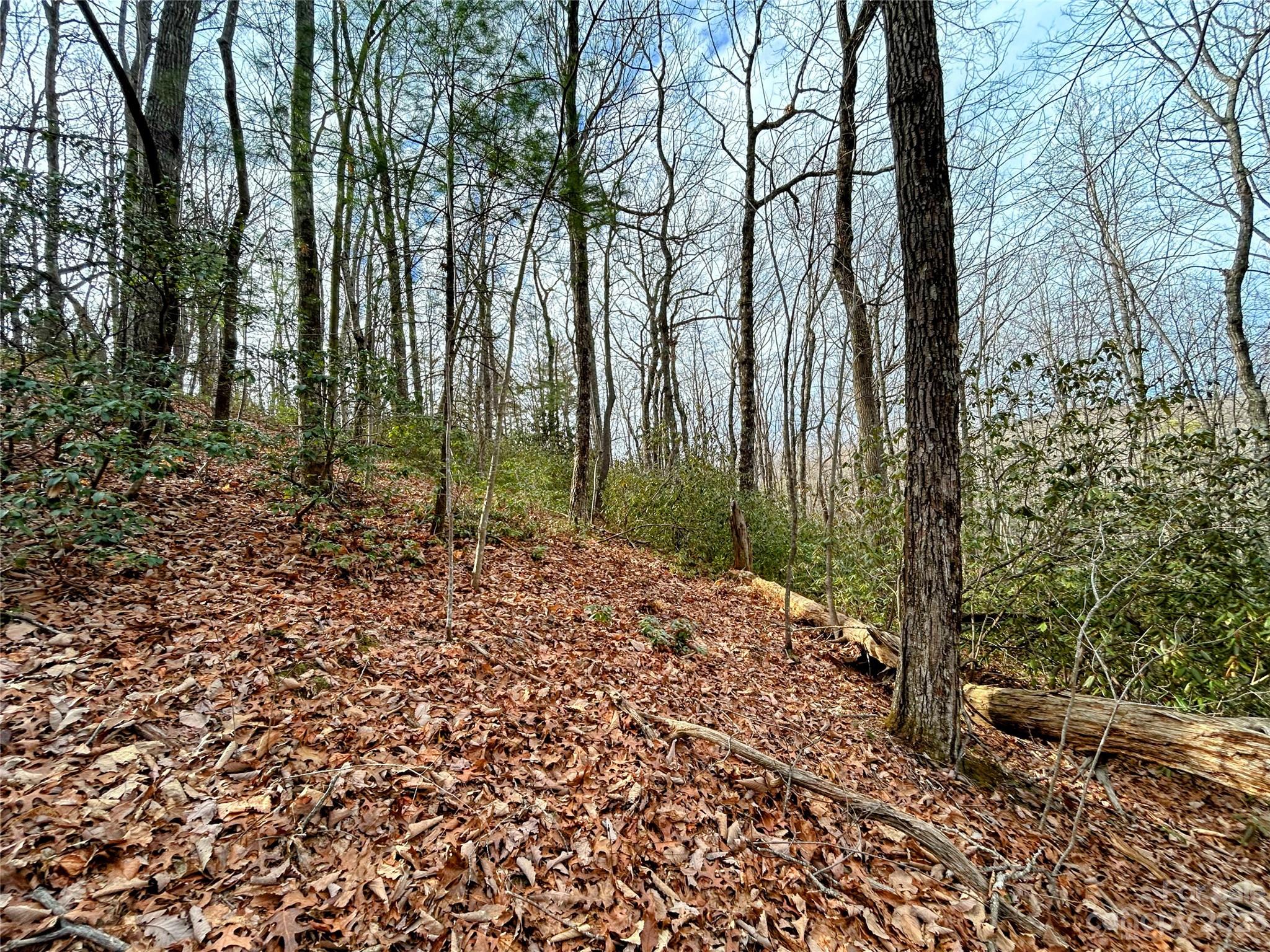 Lot 7 Azalea Way Saluda, NC 28773 - Photo 5 of 13