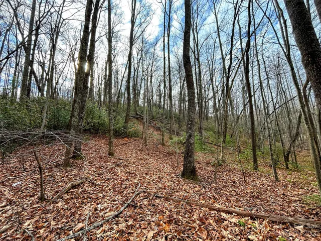$37,400 | Lot 7 Azalea Way, Saluda, NC 28773