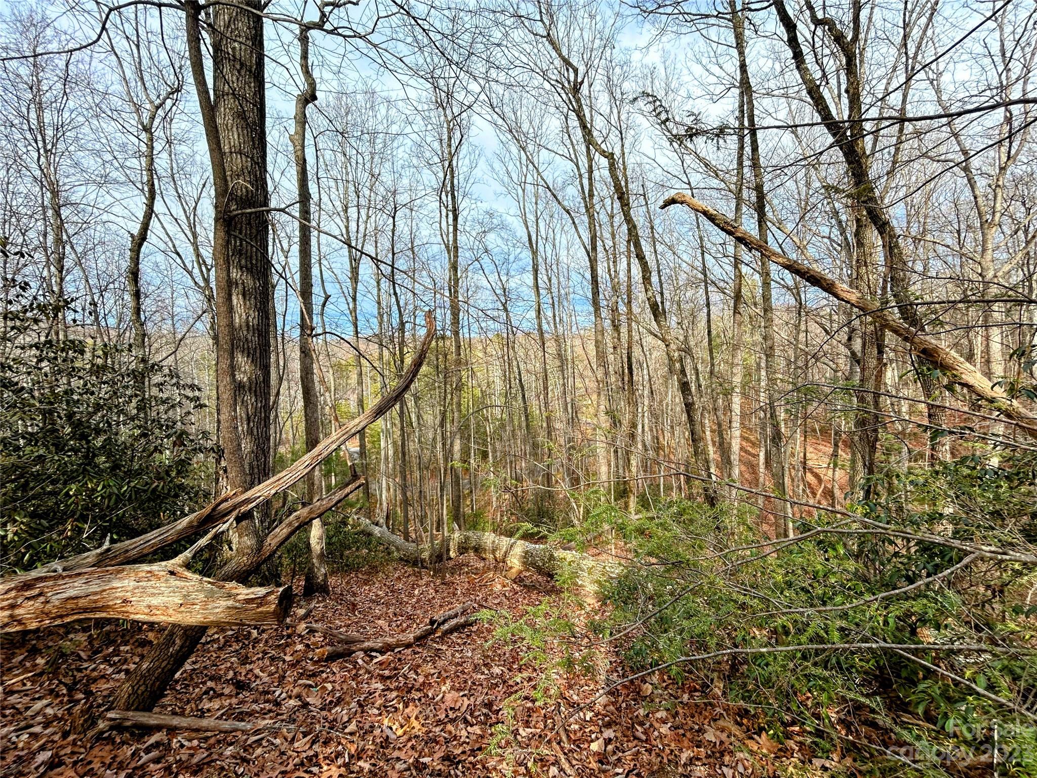 Lot 7 Azalea Way Saluda, NC 28773 - Photo 7 of 13