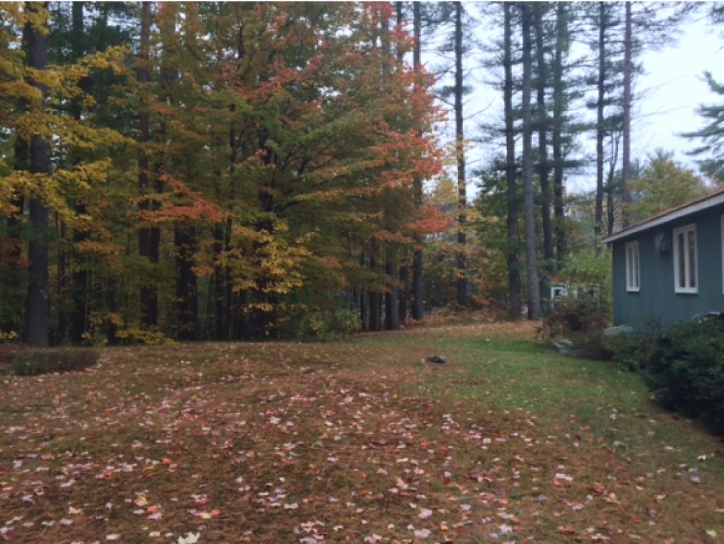 190 Robinhood Road Wakefield, NH 03830 - Photo 6 of 16 Gallery Image 6