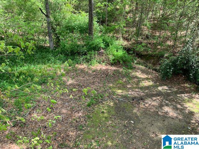 5285 Dresden Road Birmingham, AL 35210 - Photo 20 of 20