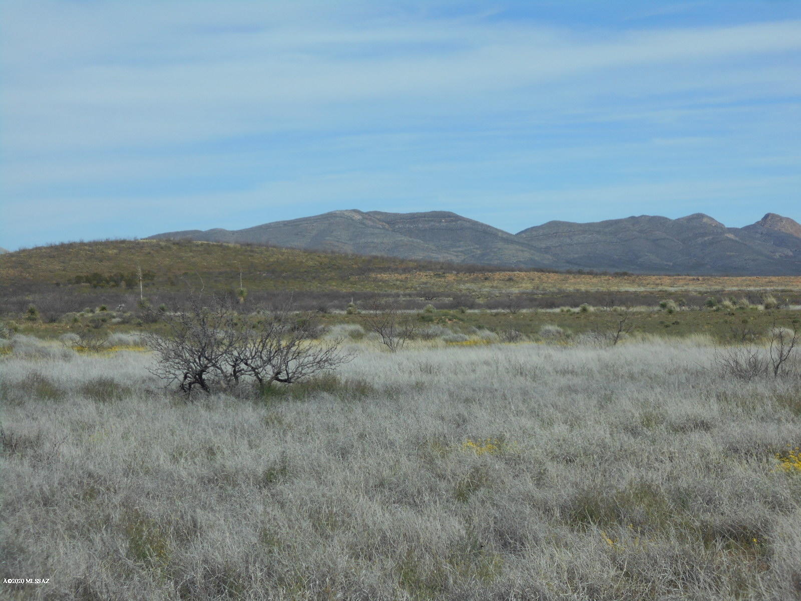 Tbd Double Ranch East McNeal, AZ 85617 - Photo 14 of 24 Gallery Image 14