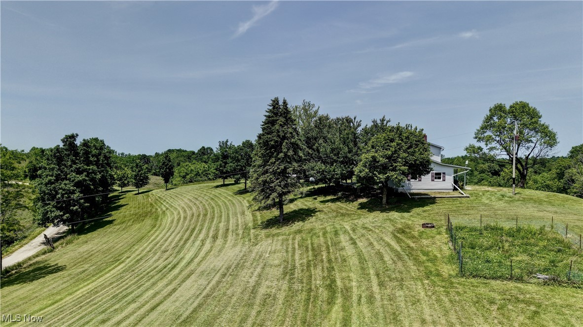 48846 Cain Ridge Road Clarington, OH 43915 - Photo 40 of 45 View of grassy yard