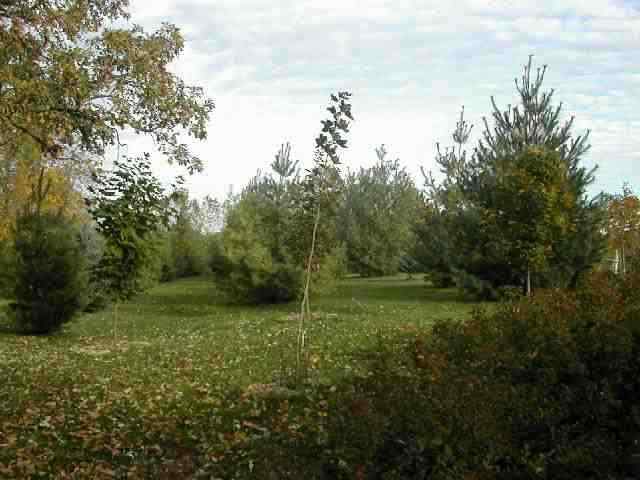 9209 West Wire Road Winslow, IL 61089 - Photo 7 of 9 a view of outdoor space and green field