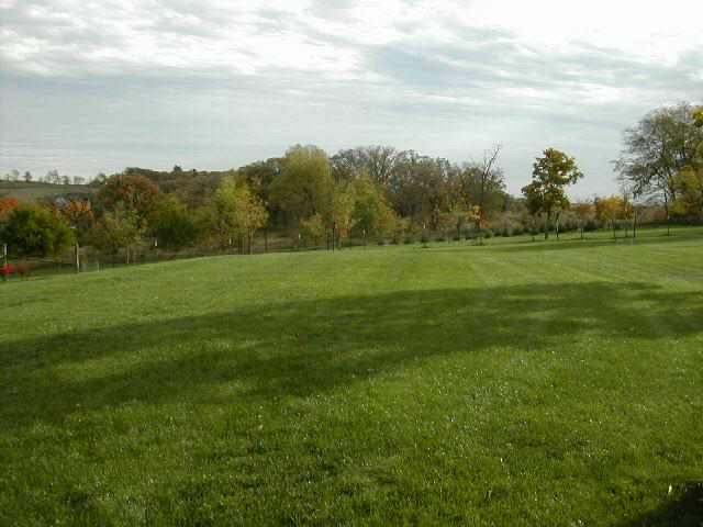 9209 West Wire Road Winslow, IL 61089 - Photo 8 of 9 a view of field with tall trees