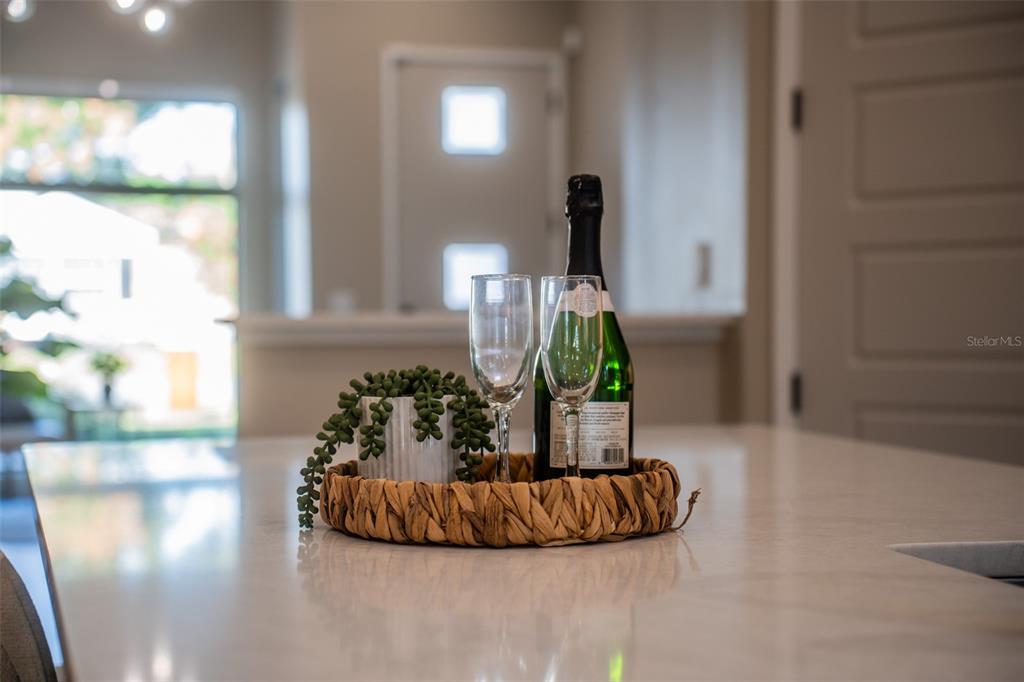 2514 Shannon Road Orlando, FL 32806 - Photo 15 of 53 a living room with furniture flowerpot and wooden floor