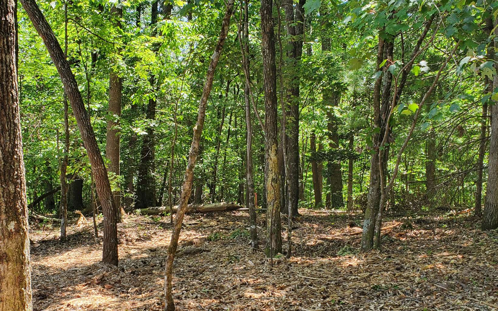 29 Possum Poke Road Ellijay, GA 30536 - Photo 13 of 24 Additional View