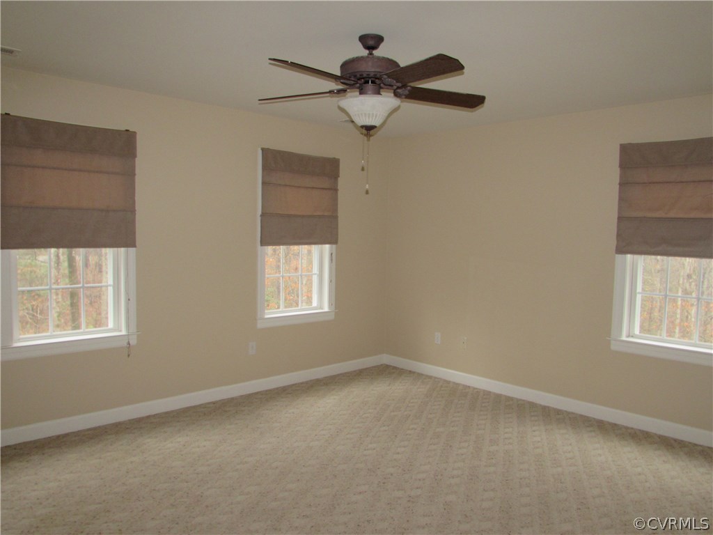 16310 Coatesville Road Beaverdam, VA 23015 - Photo 20 of 38 Gallery Image 20