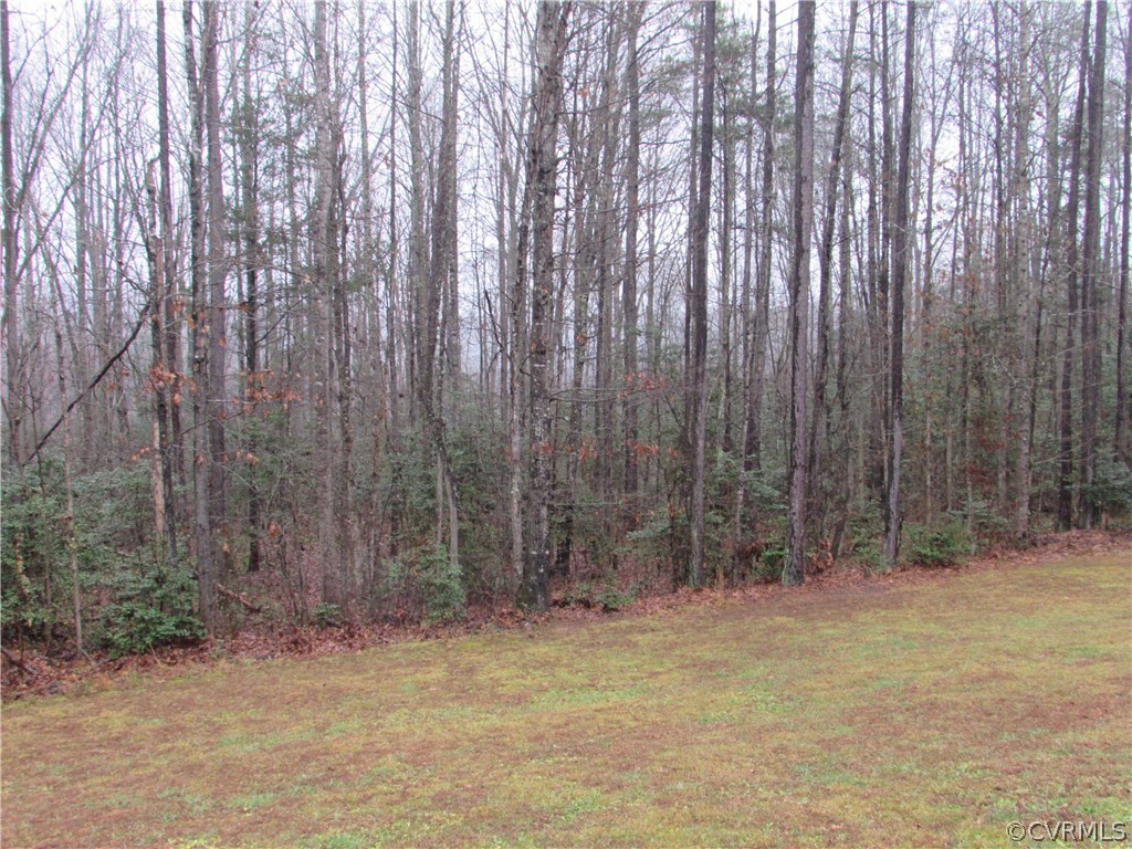 16310 Coatesville Road Beaverdam, VA 23015 - Photo 33 of 38 Gallery Image 33