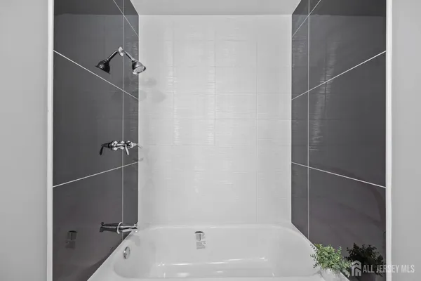 a view of a yard with plants and trees